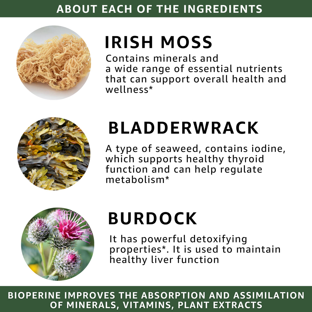 Healblend Organic Irish Moss, Bladderwrack, Burdock, & Bioperine - 1405Mg with Black Pepper - Natural Wellness and Detox Support Supplement - 60 Capsules