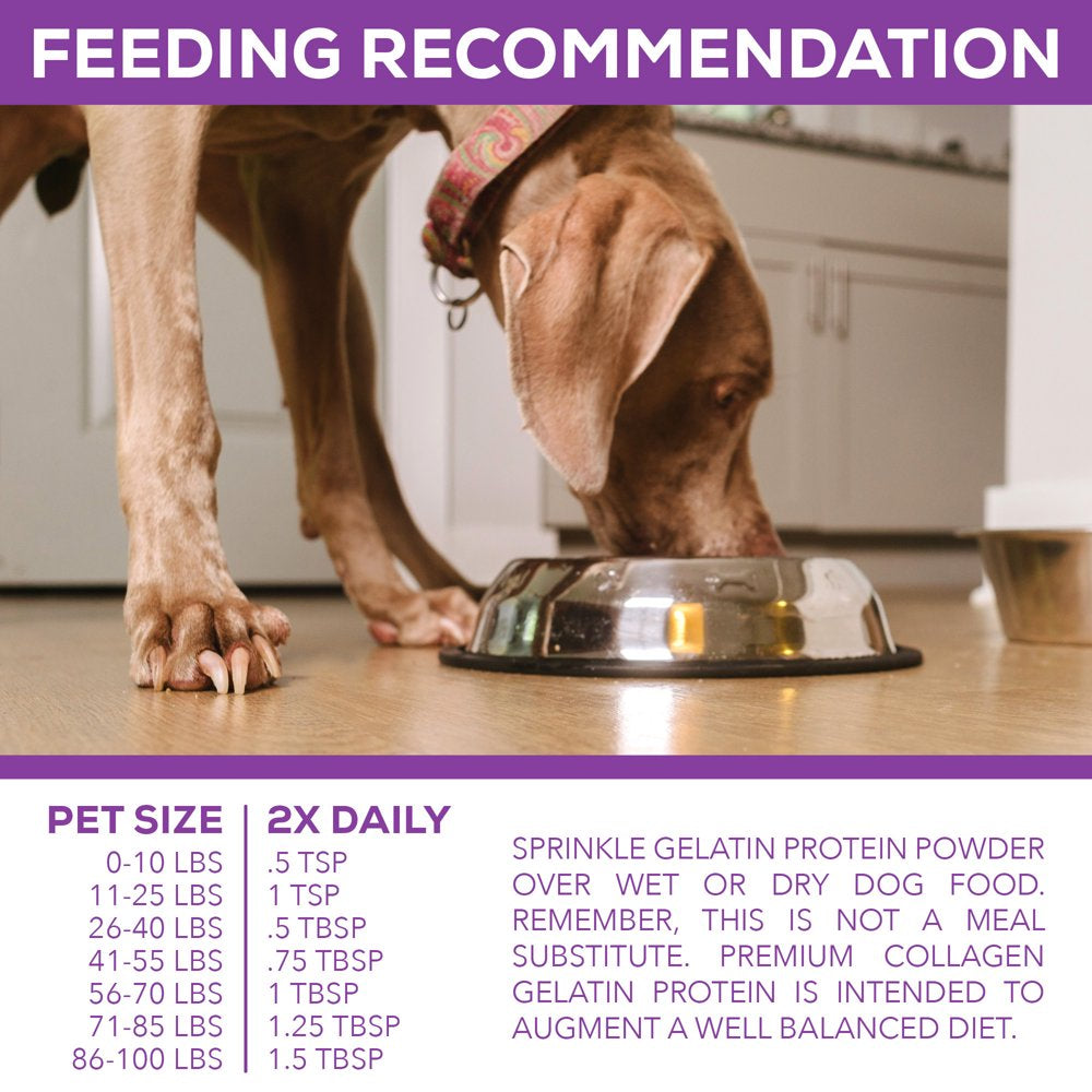 100% Collagen Protein for Dogs | Hip & Joint | Allergy Relief | Digestive Aid | Overall Health | 8 Lb