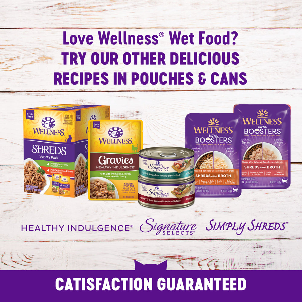 Wellness Complete Health Grain Free Canned Cat Food, Chicken Pate, 3 Ounces (Pack of 24)