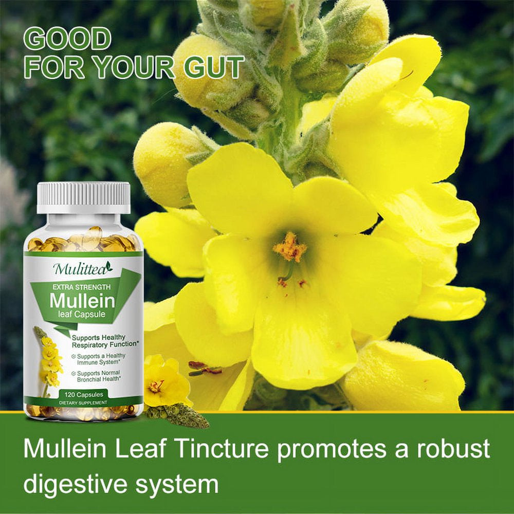 Mulittea Mullein Leaf Capsules Herbal Supplement Supports Respiratory Function Health,120Count/Bottle