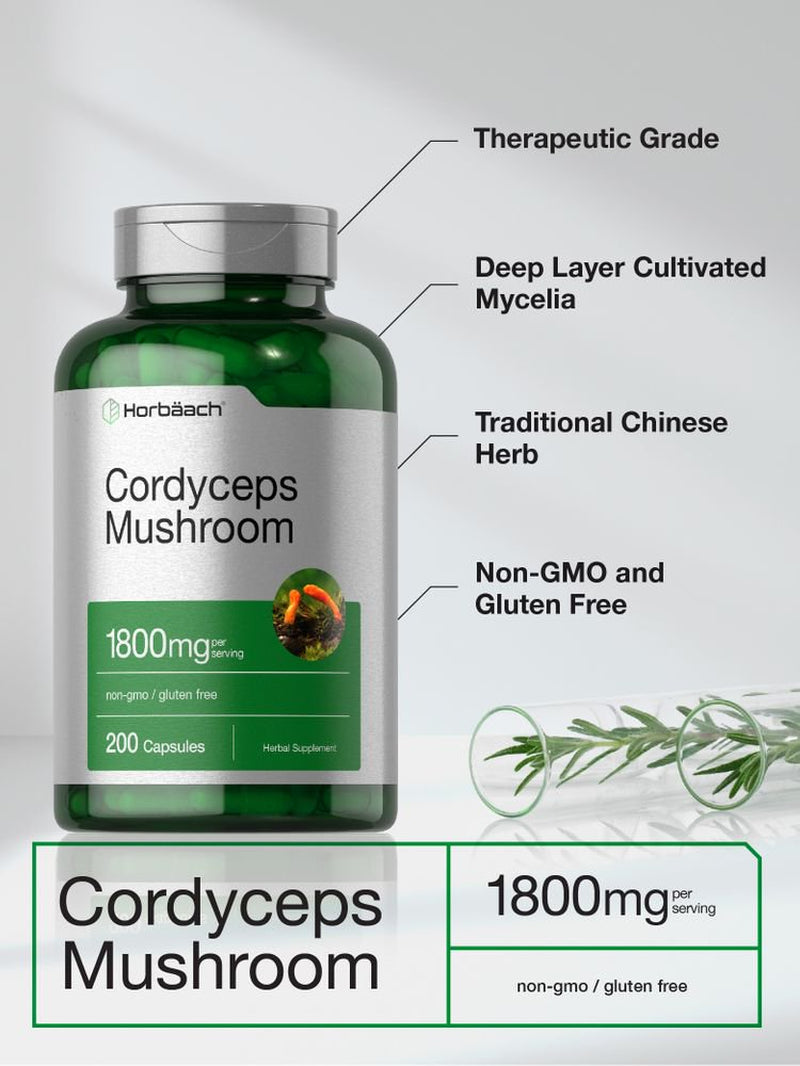 Cordyceps Sinensis Mushroom Extract | 2000Mg | 200 Capsules | by Horbaach