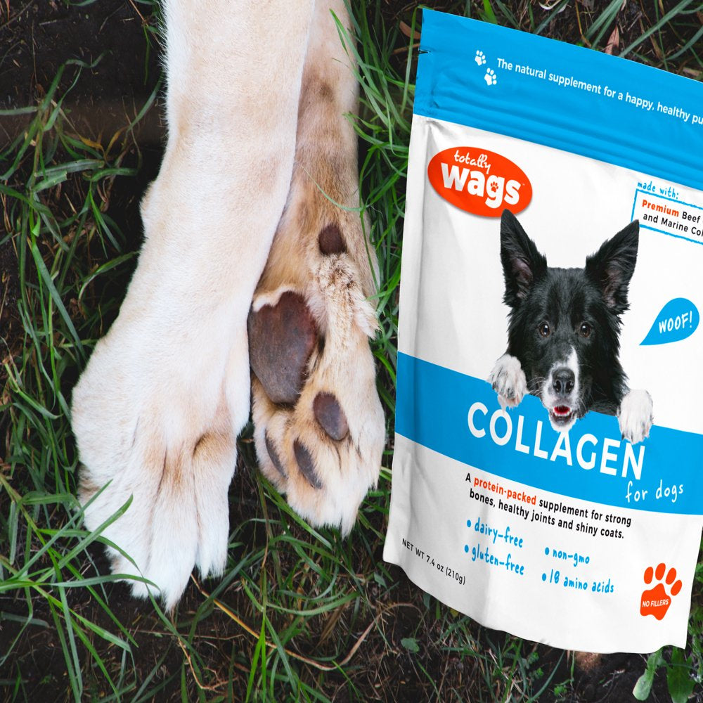 Collagen for Dogs