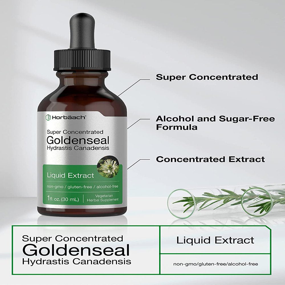 Goldenseal Root Liquid Extract | 1 Oz | Vegetarian & Alcohol Free | by Horbaach