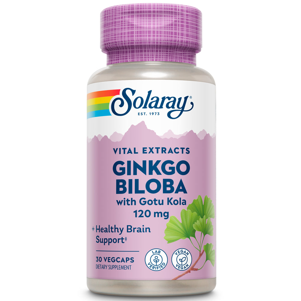 Solaray Guaranteed Potency Ginkgo Biloba Leaf Extract One Daily, Veg Cap (Btl-Plastic) 120Mg | 30Ct