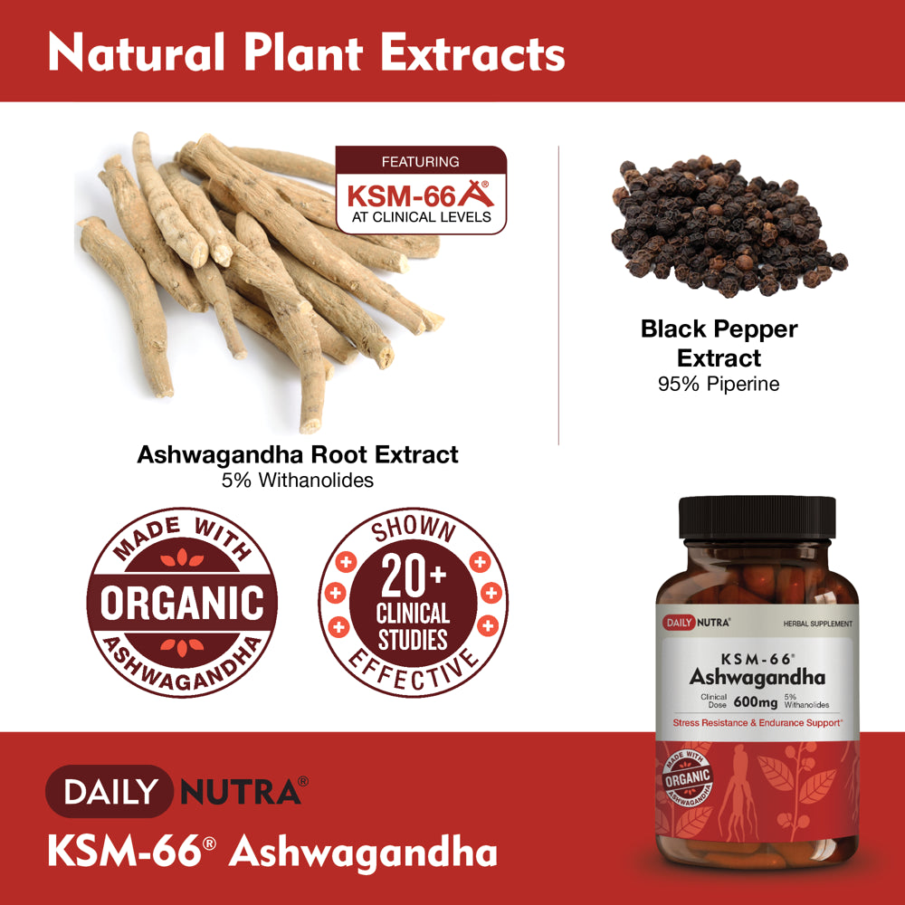 KSM-66 Ashwagandha by Dailynutra - 600Mg Organic Root Extract - High Potency Supplement with 5% Withanolides | Stress Relief, Increased Energy and Focus (60 Capsules)