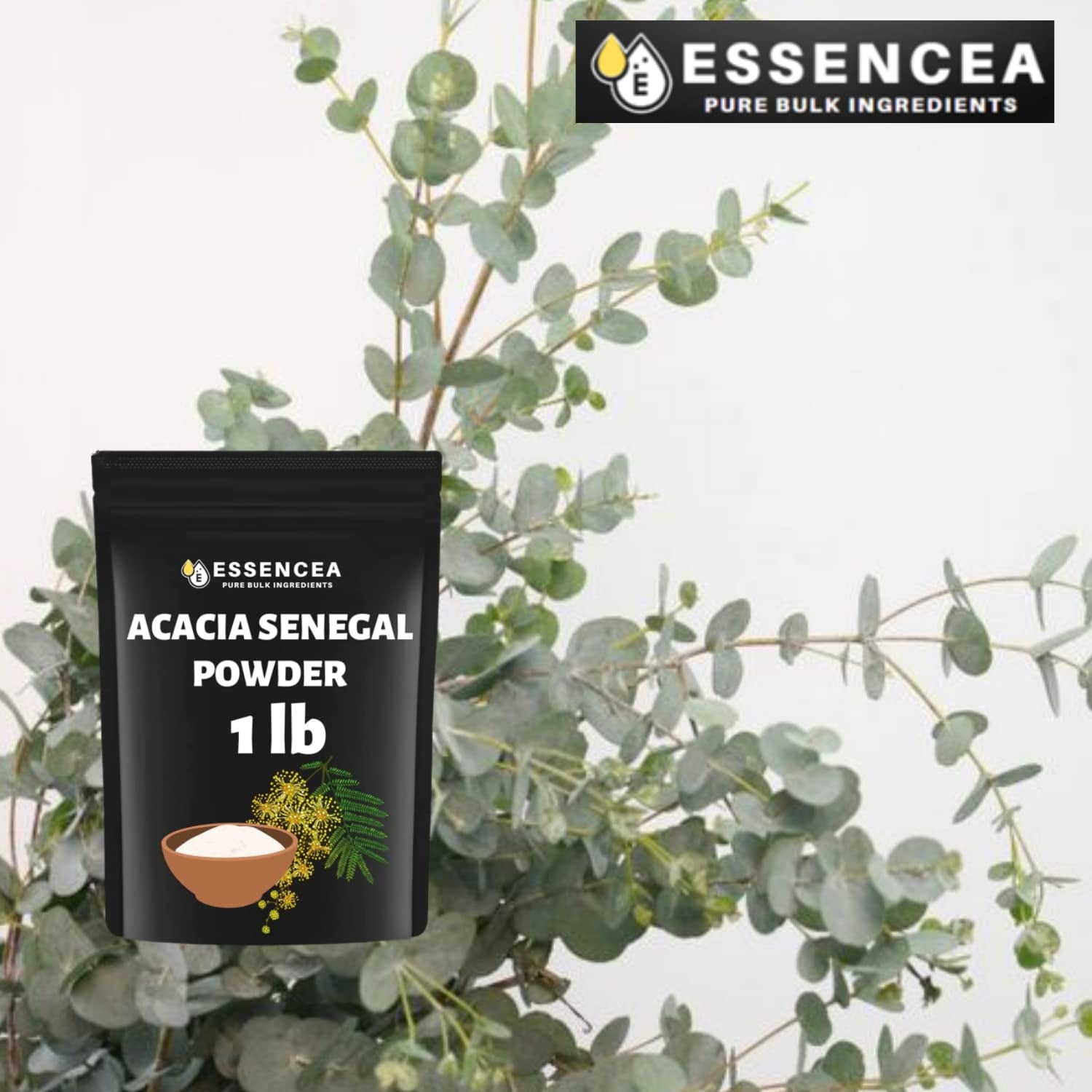 Acacia Senegal Powder 1Lb by Essencea Pure Bulk Ingredients | Rich in Fiber | Soluble Fiber Powder | Non GMO and Gluten Free (16 Ounces)