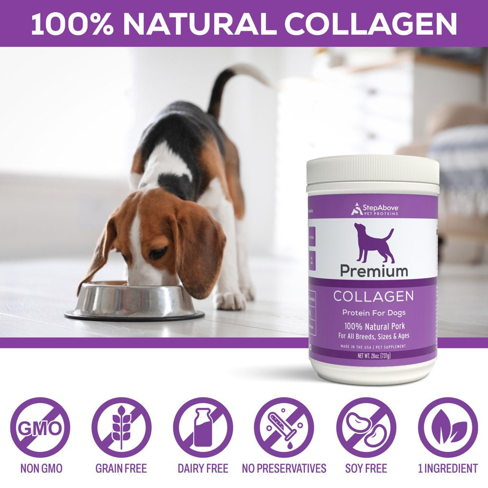 100% Collagen Protein for Dogs | Hip & Joint | Allergy Relief | Digestive Aid | Overall Health | 1 Lb 10 Oz