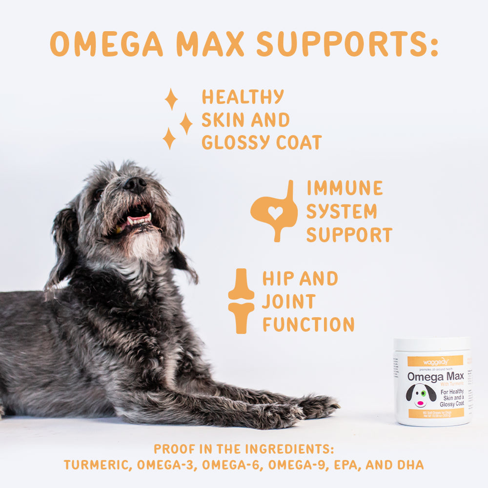 Waggedy Max Omega Chews for Dogs W/ Turmeric & Fish Oil, Supports Immune System (60 Chews)