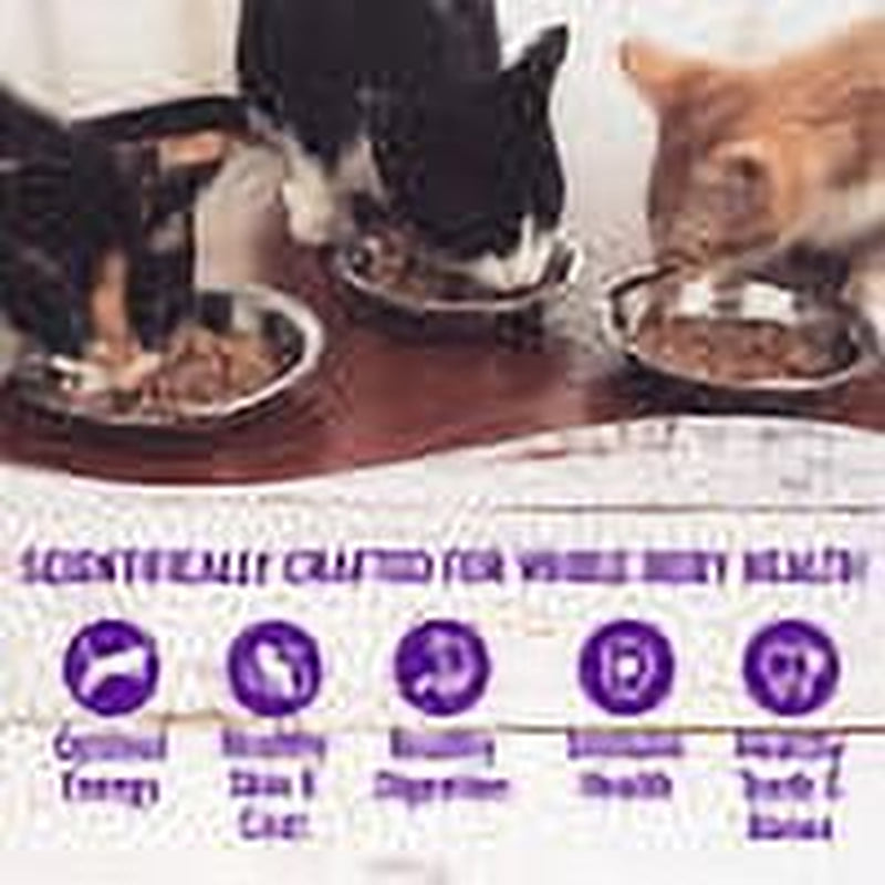 Wellness Complete Health Natural Grain Free Wet Canned Cat Food, Sliced Salmon Entree, 3-Ounce Can (Pack of 24)