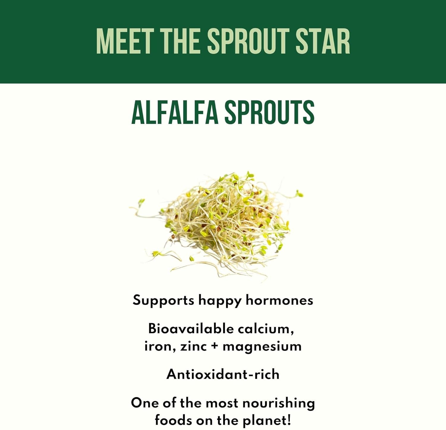 Chai Balance Sprout Powder: Golden Milk Morning Ritual with Alfalfa Sprouts, Adaptogens and Warming Spices - Organic Caffeine-Free Chai with Turmeric, Rhodiola, Cordyceps, and Ginger