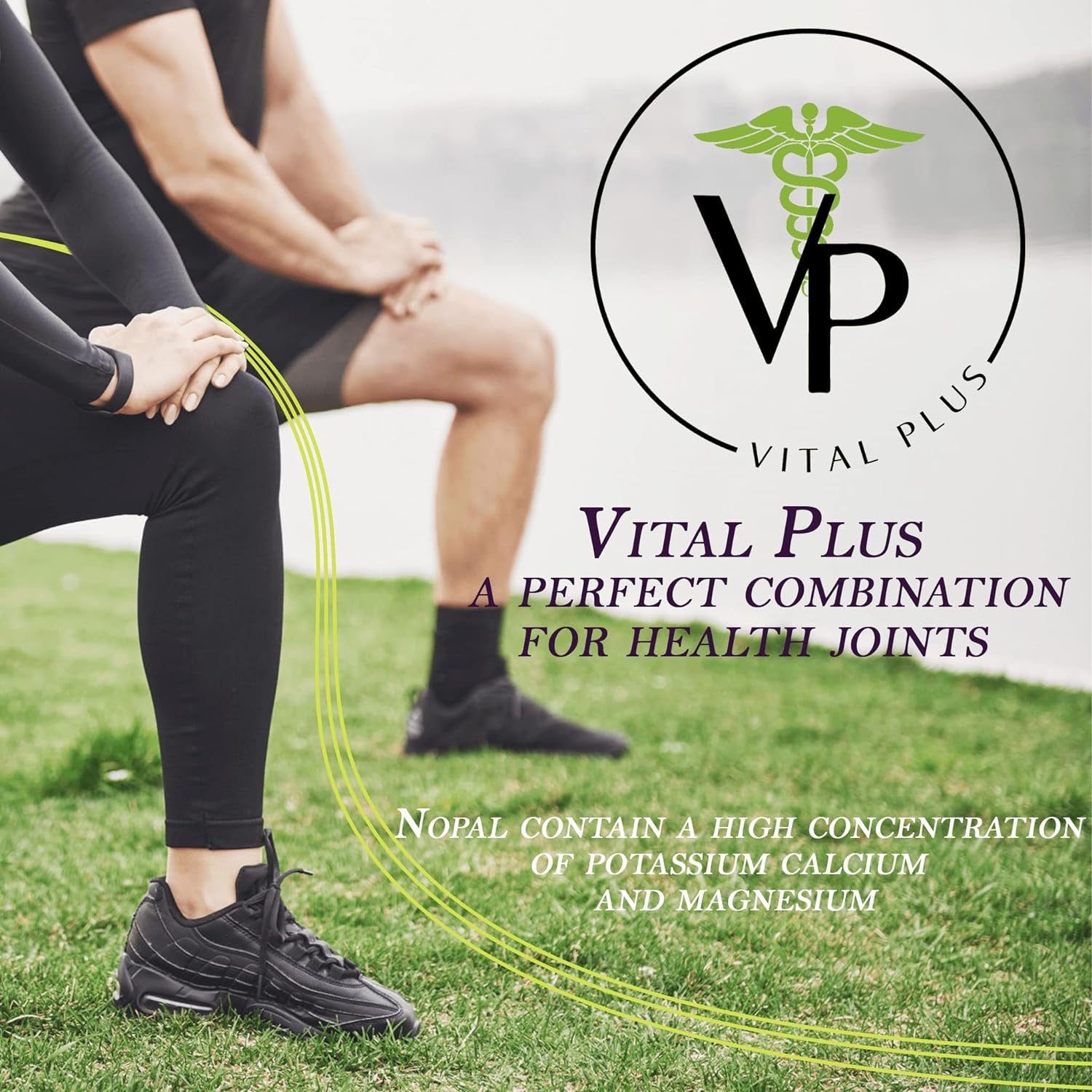 Vital plus - Treatment for Varicose Veins and Support Joint Structure - Energy Supplement - 100% Organic 60 Capsules