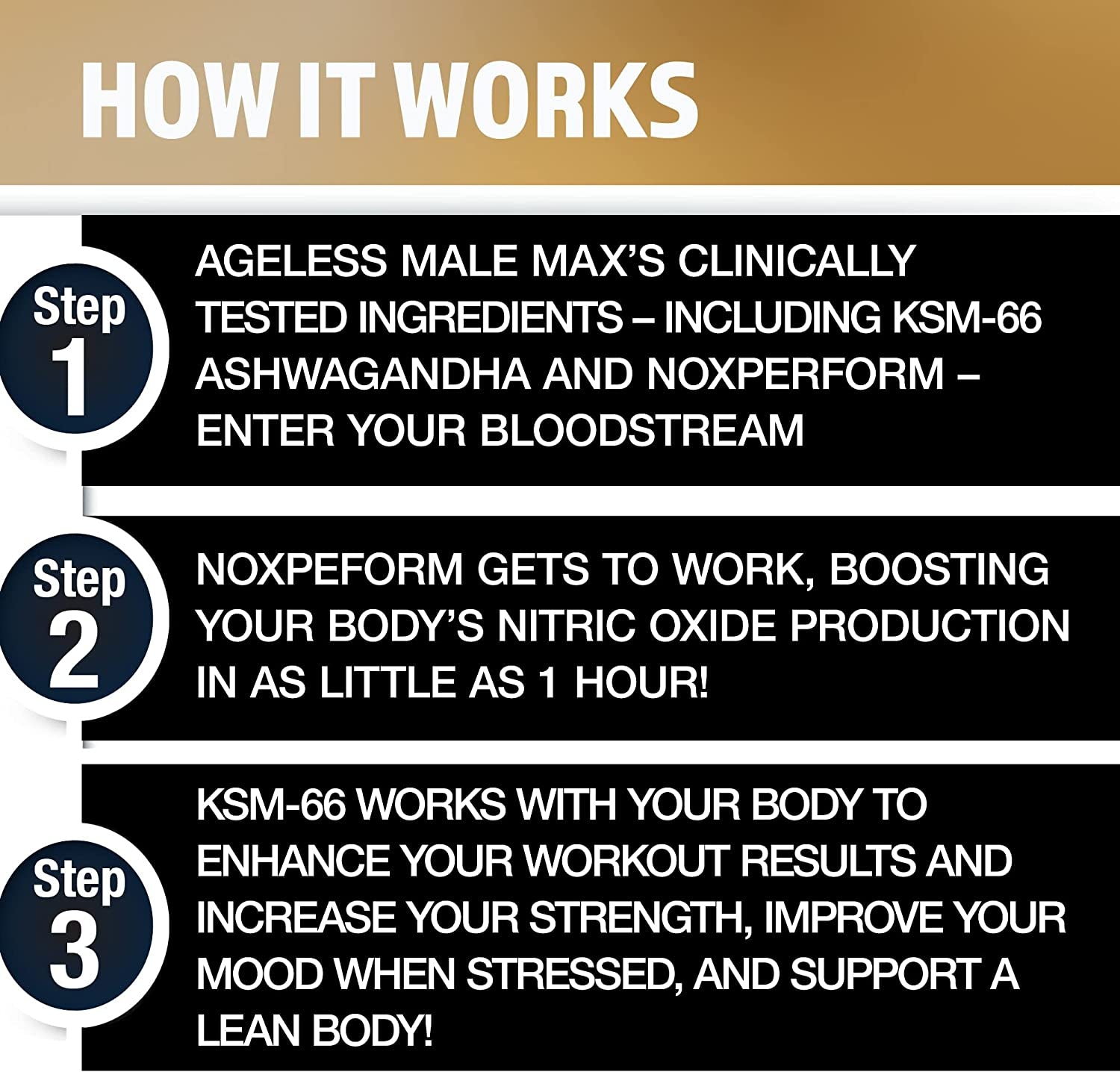 Ageless Male Max Chewable Nitric Oxide Booster Supplement for Men – High Potency Ashwagandha Extract to Boost Workouts, Muscle & Performance, Reduce Stress, Support Sleep (100 Chews, 1-Bottle)