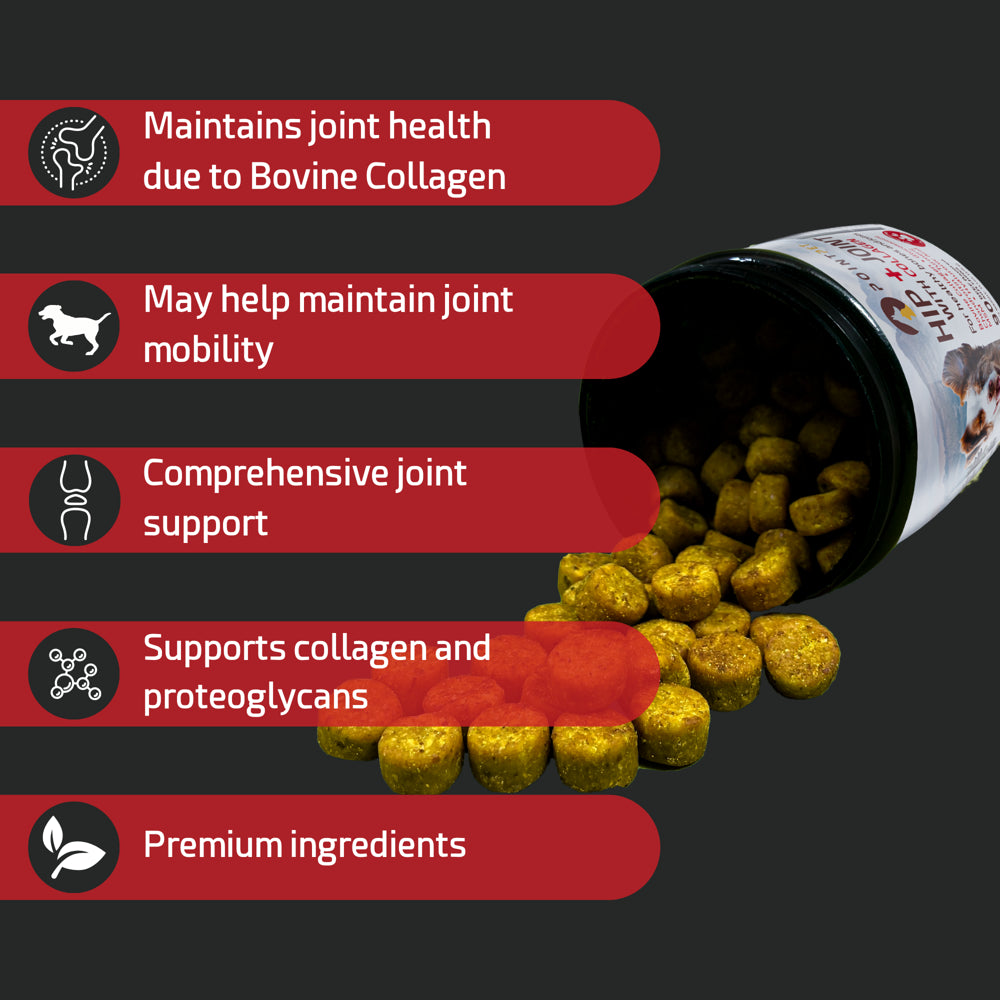 Pointpet Dog Hip & Joint Support with Bovine Collagen, Vet Formulated Mobility Soft Chews, 90 Beef Flavored Soft Chews