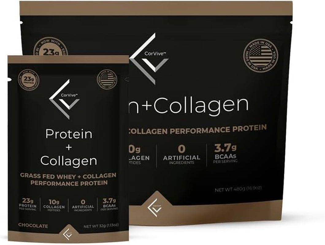 Corvive Protein + Collagen Chocolate Performance Protein | Grass Fed Whey + Collagen | 480 Grams (Pack of 15)