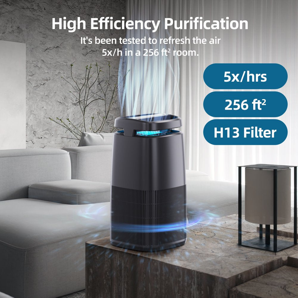 TUMISUE H13 HEPA Air Purifier Air Cleaner with Washable Filter for Allergy and Asthma