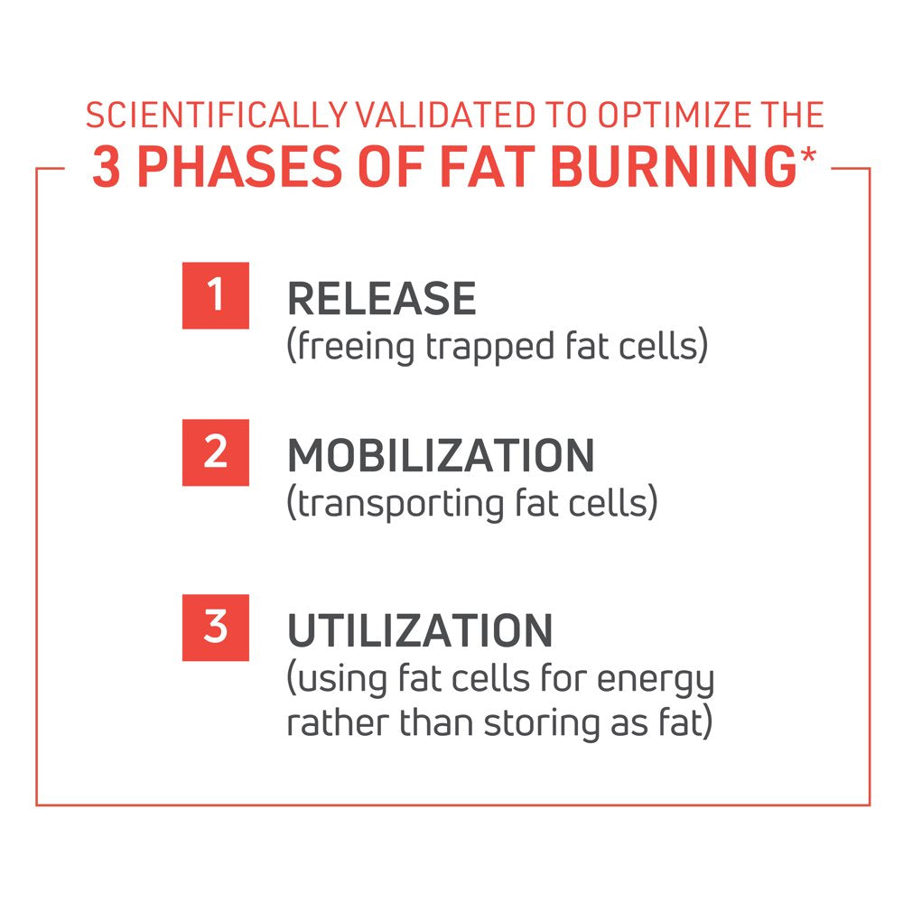 Thermodyne™ Thermogenic Fat Burner – Fitness Supplement – Metabolism Boost – Burn Calories – Energy Booster – Improve Focus – Fat Burning Pills – Promote Lean Muscle Tone