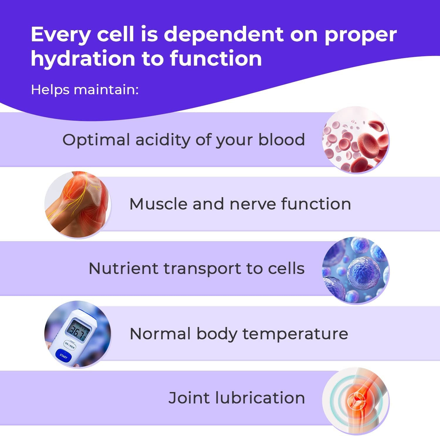 Vitaminiq Electrolytes Powder - 15 Sticks Electrolyte Powder Packets for Energy & Endurance - IV Hydration Multiplier Electrolyte Mix for Mental Clarity & Fluid Balance - IV Hydration Packets, Orange