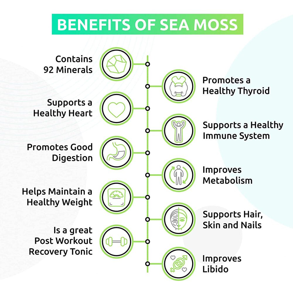 Trueseamoss Wildcrafted Irish Sea Moss Gel – Nutritious Raw Seamoss Rich in Minerals, Proteins & Vitamins – Antioxidant Health Supplement, Vegan-Friendly Made in USA (Banana, 5)