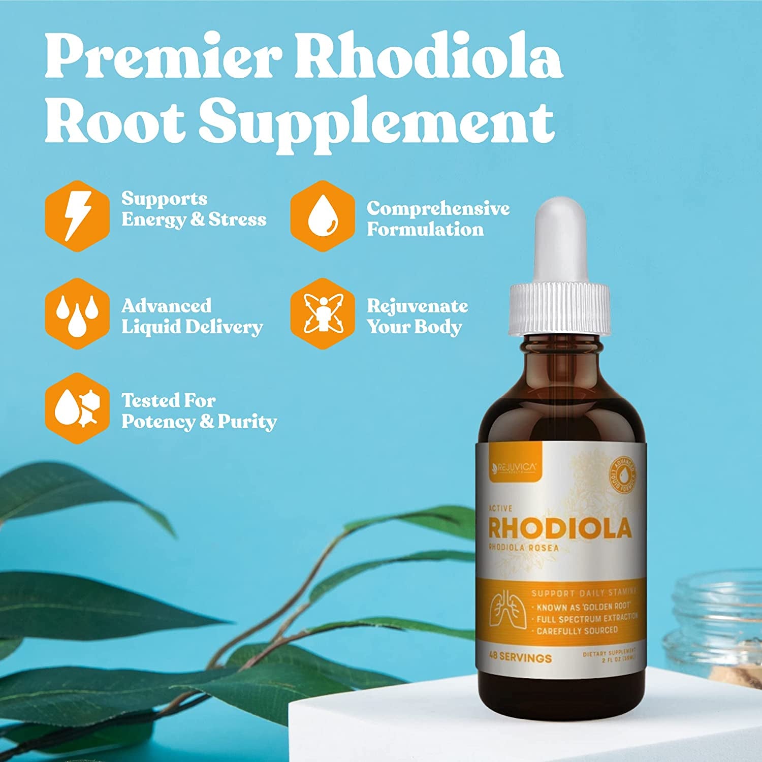 Active Rhodiola - Rhodiola Root Extract with Natural Rosavins - Liquid Delivery for Better Absorption - Supports Energy & Stress