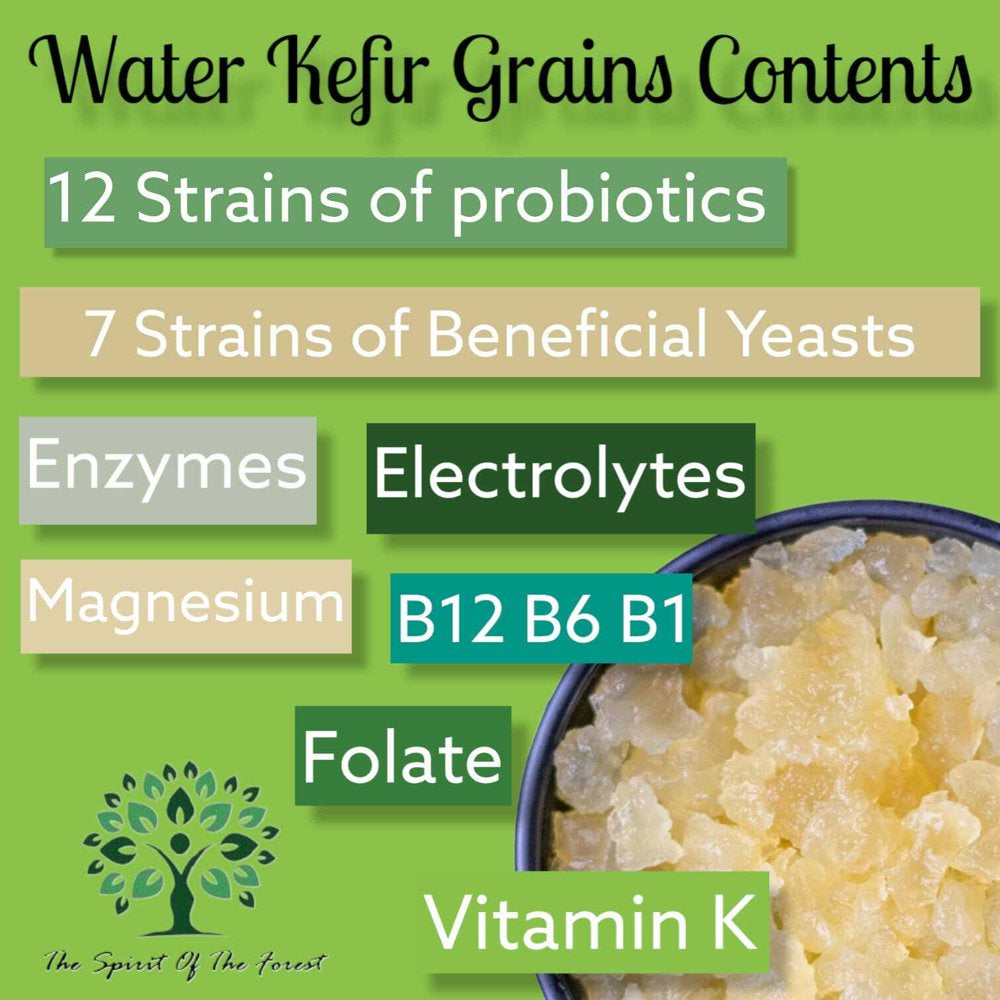 Water or Milk Kefir POWDER or LIVE Grains Lebanese Probiotic Starter Organic (Water Kefir Grains Live)