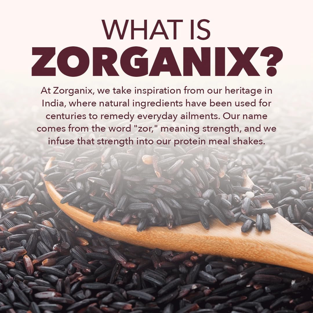 Zorganix Black Rice Protein Powder; Plant Based Organic Protein Powder Meal Replacement Shake; 15 Single Serve Packs with 24G of Protein per Serving; Vegan & Gluten Free; 2.32 Pounds (Chocolate)