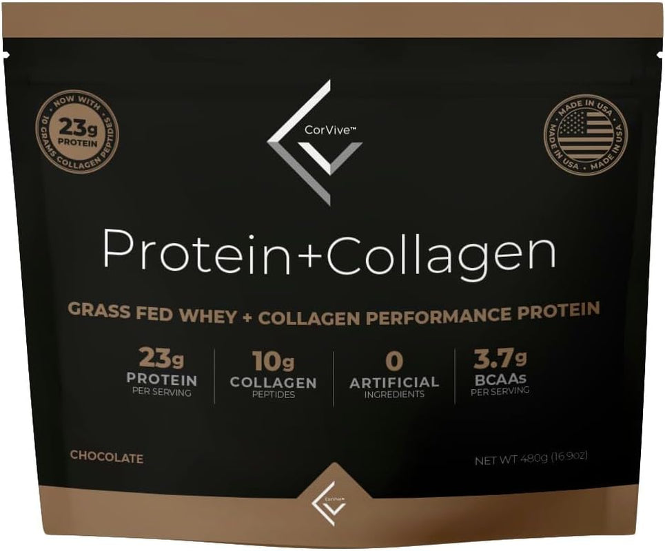 Corvive Protein + Collagen Chocolate Performance Protein | Grass Fed Whey + Collagen | 480 Grams (Pack of 15)